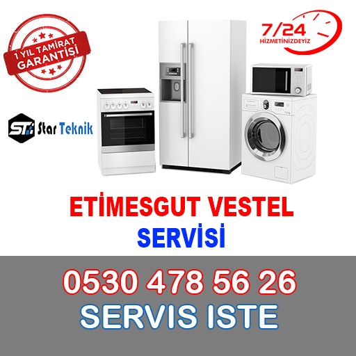 Etimesgut Vestel Servisi